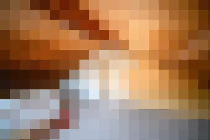 Gerbrandystraat 15 Nunspeet thumbnail 30