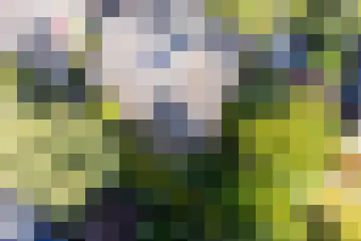 Gerbrandystraat 15 Nunspeet thumbnail 31
