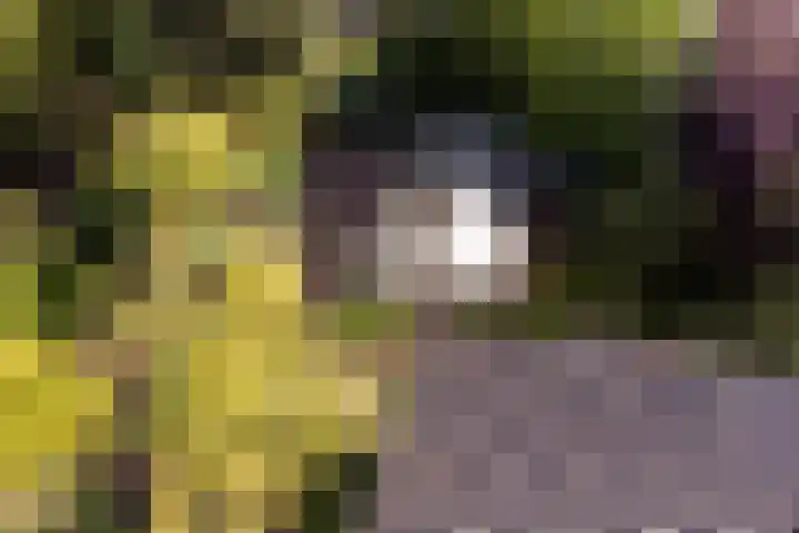 Gerbrandystraat 15 Nunspeet thumbnail 32