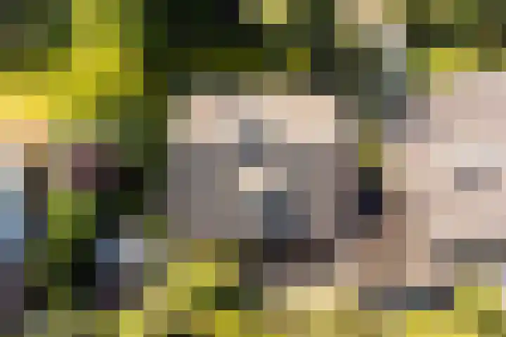 Gerbrandystraat 15 Nunspeet thumbnail 33