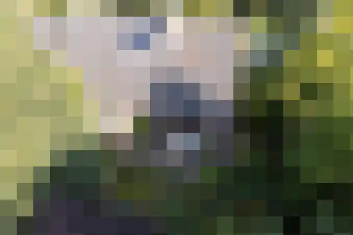 Gerbrandystraat 15 Nunspeet thumbnail 4