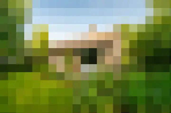Gerbrandystraat 15 Nunspeet thumbnail 5