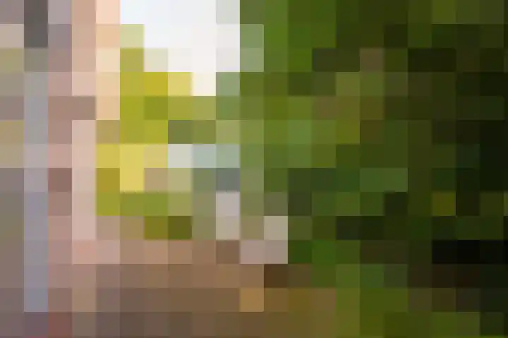 Gerbrandystraat 15 Nunspeet thumbnail 6