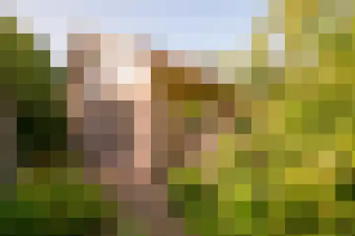 Gerbrandystraat 15 Nunspeet thumbnail 7