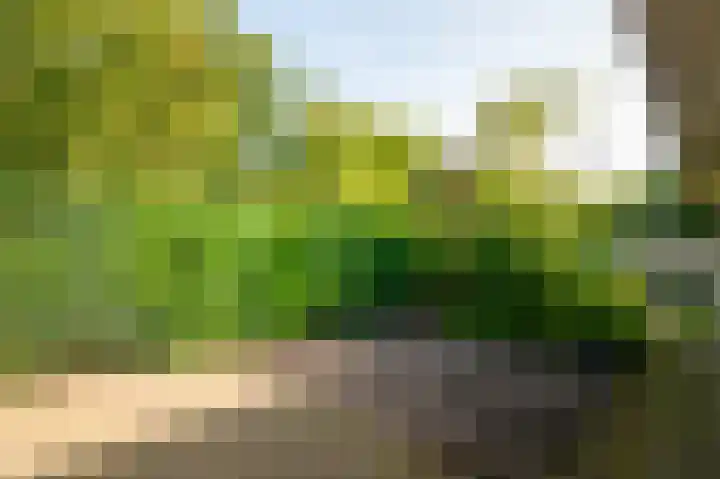 Gerbrandystraat 15 Nunspeet thumbnail 8