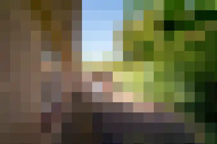 Gerbrandystraat 15 Nunspeet thumbnail 9