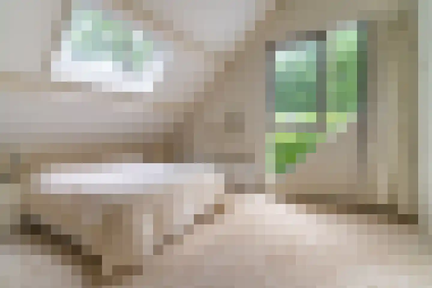 Gerbrandystraat 154 Nunspeet thumbnail 29