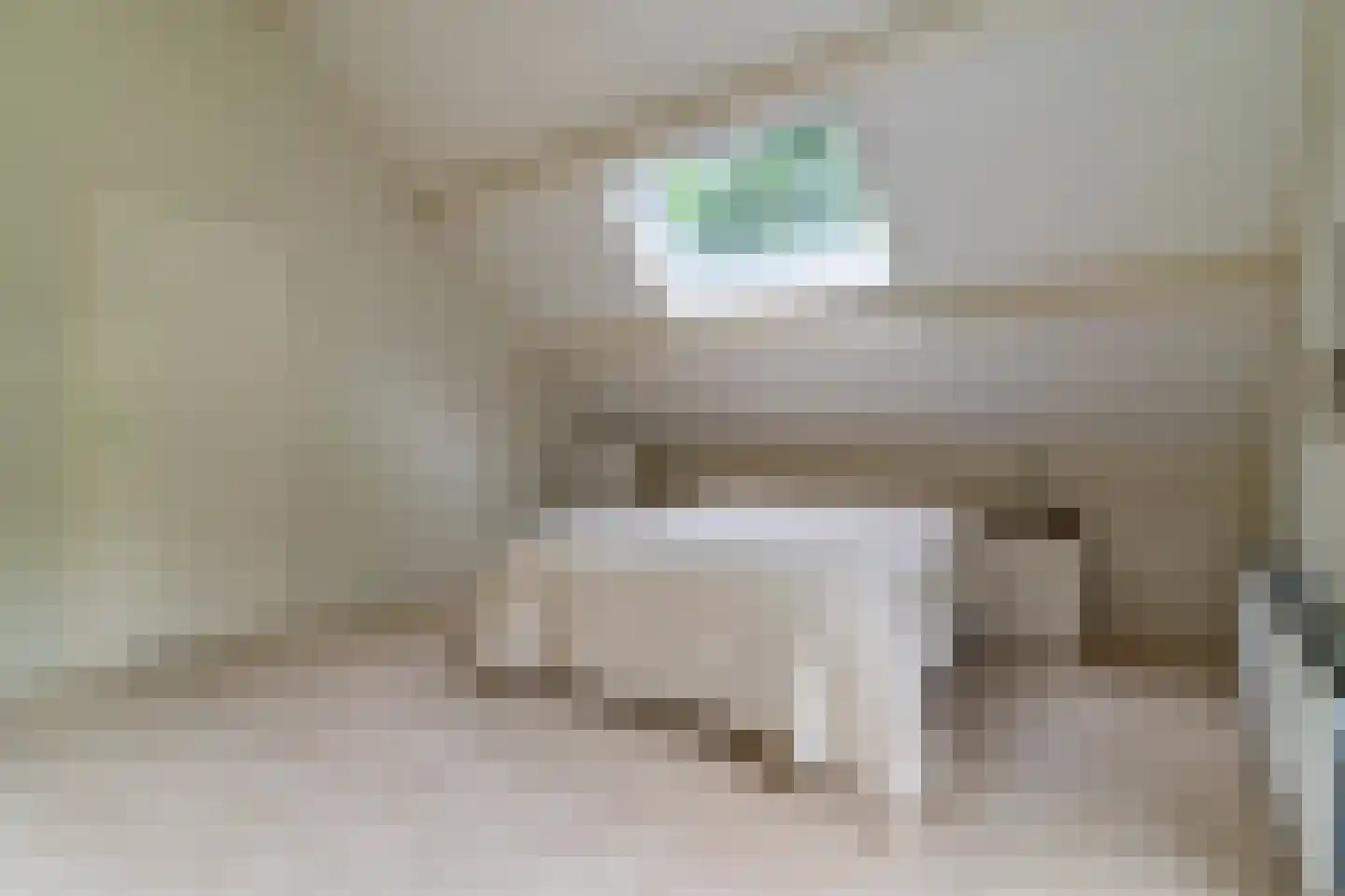 Gerbrandystraat 154 Nunspeet thumbnail 30