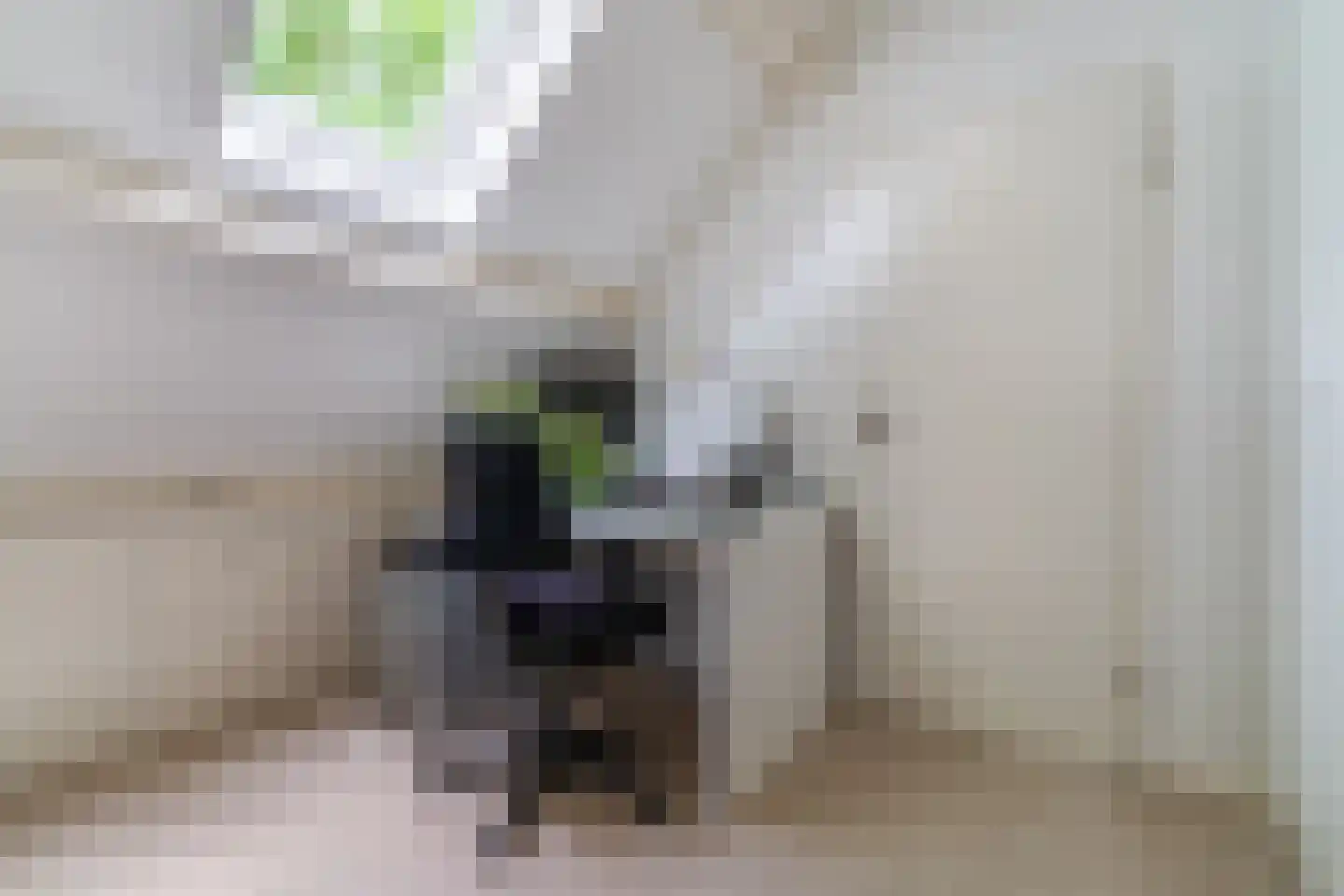 Gerbrandystraat 154 Nunspeet thumbnail 35