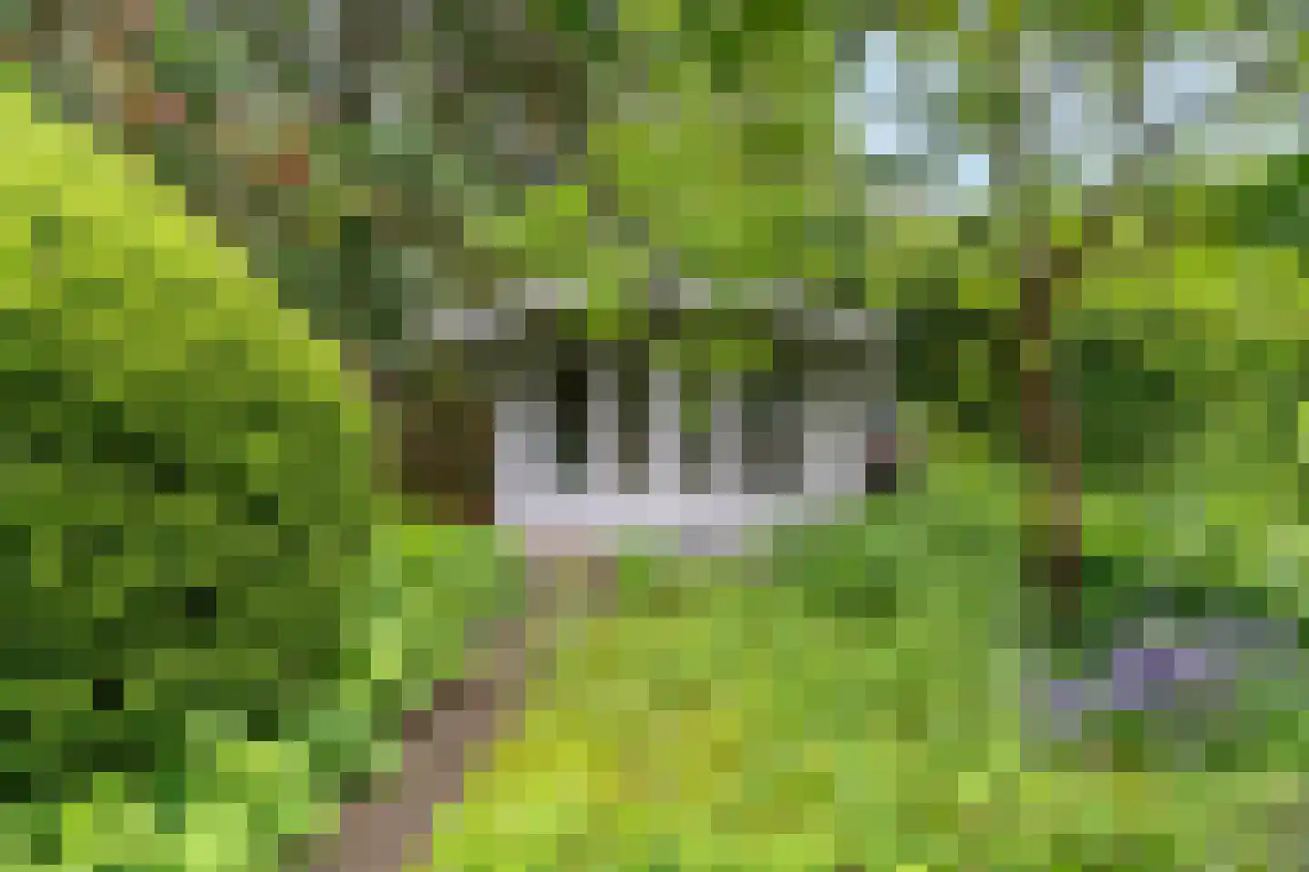 Gerbrandystraat 154 Nunspeet thumbnail 39