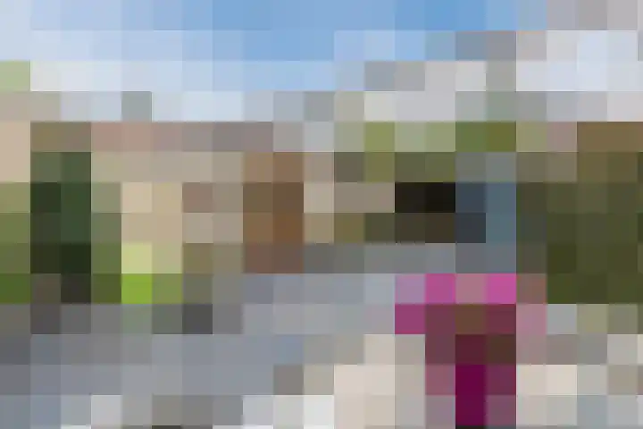 Gerbrandystraat 2 Rijen thumbnail 23
