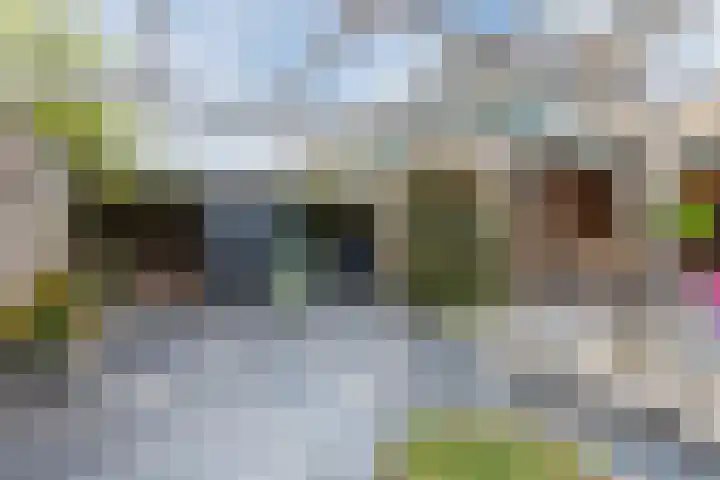 Gerbrandystraat 2 Rijen thumbnail 24