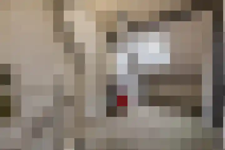 Gerbrandystraat 2 Rijen thumbnail 38