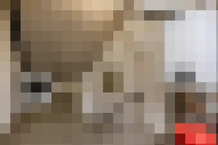 Gerbrandystraat 2 Rijen thumbnail 39