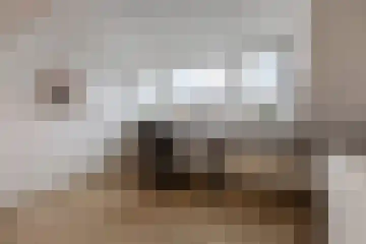 Gerbrandystraat 2 Rijen thumbnail 42
