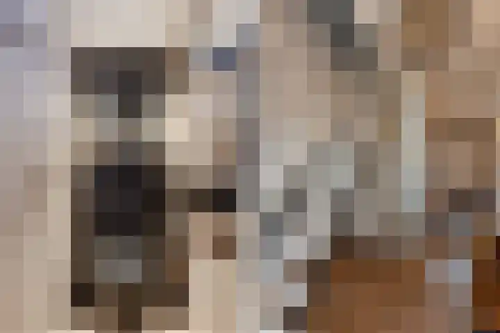 Gerbrandystraat 2 Rijen thumbnail 5