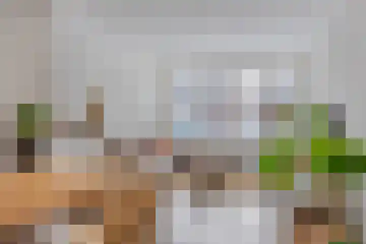 Gerbrandystraat 20 Venray thumbnail 8