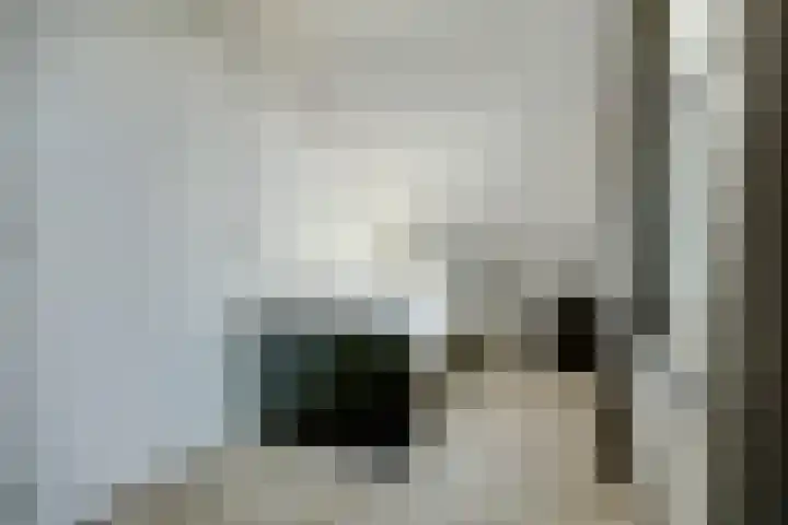 Gerbrandystraat 20 Vlissingen thumbnail 22