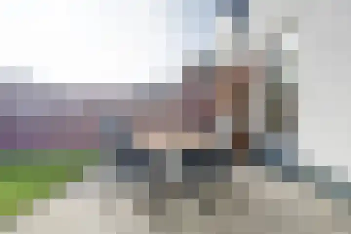 Gerbrandystraat 20 Vlissingen thumbnail 30