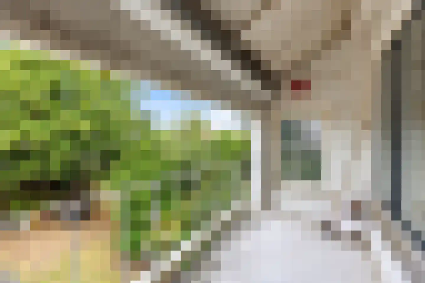 Gerbrandystraat 33 Vlissingen thumbnail 21