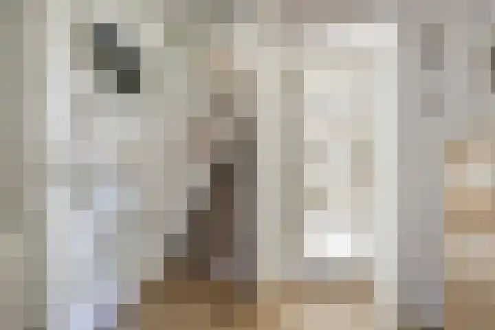 Gerbrandystraat 34 Naaldwijk thumbnail 22