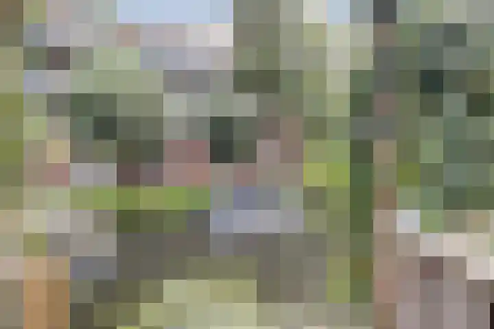Gerbrandystraat 34 Naaldwijk thumbnail 34