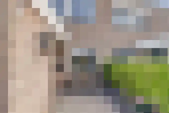 Gerbrandystraat 34 Naaldwijk thumbnail 39
