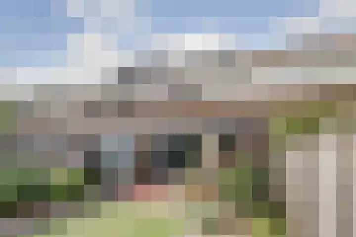 Gerbrandystraat 34 Naaldwijk thumbnail 5