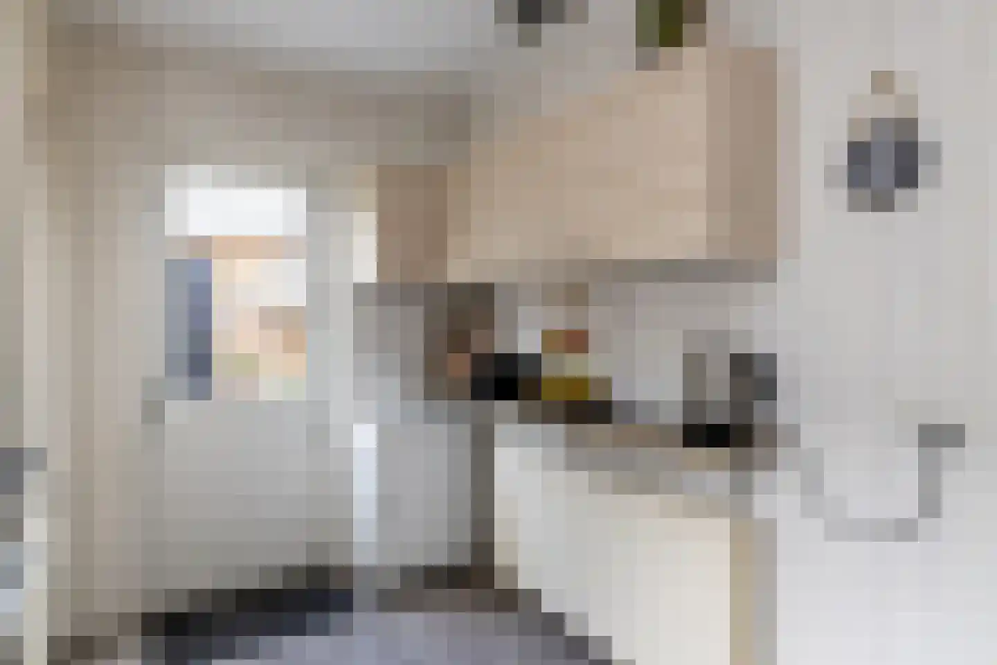 Gerbrandystraat 45 Nunspeet thumbnail 21