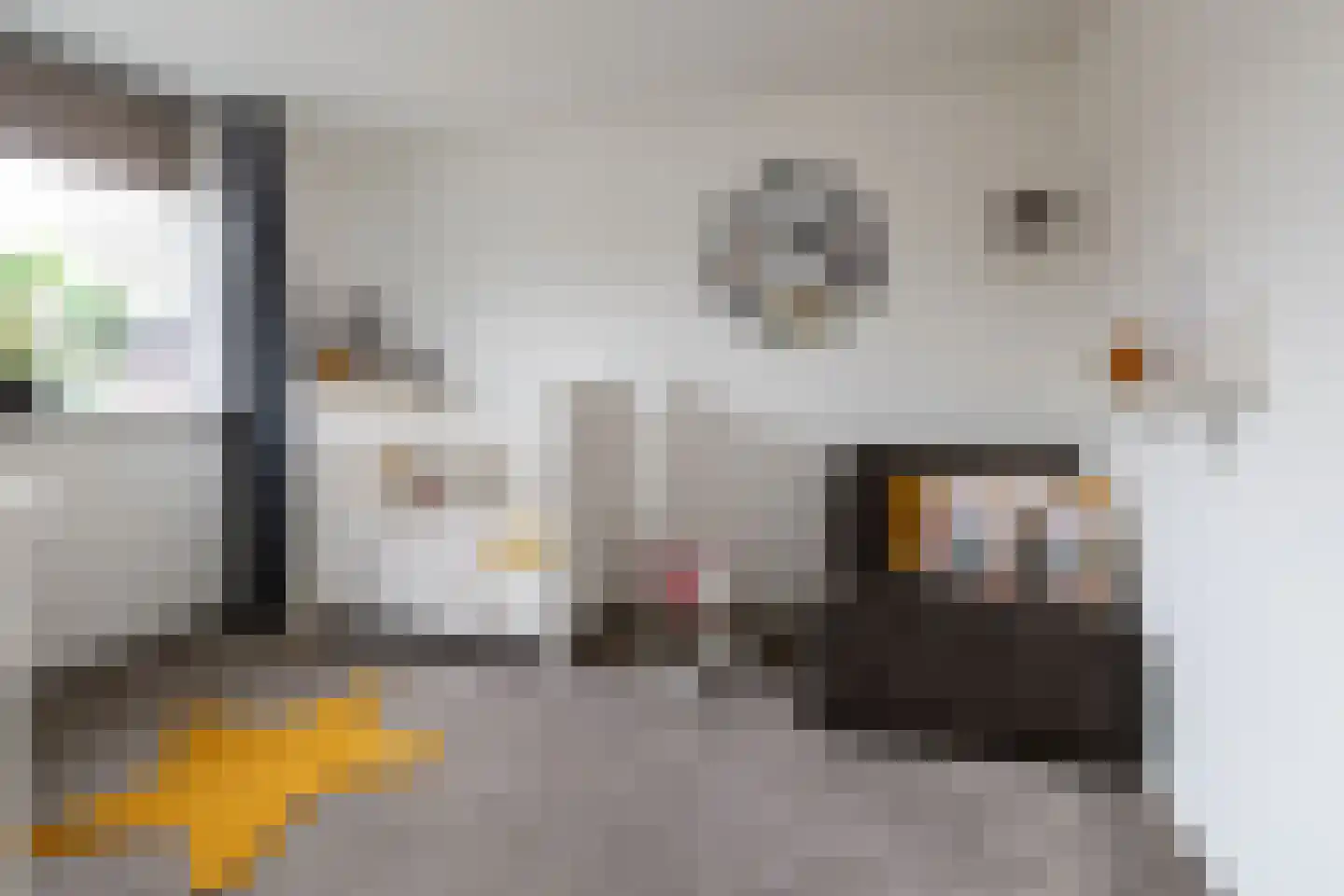 Gerbrandystraat 45 Nunspeet thumbnail 29