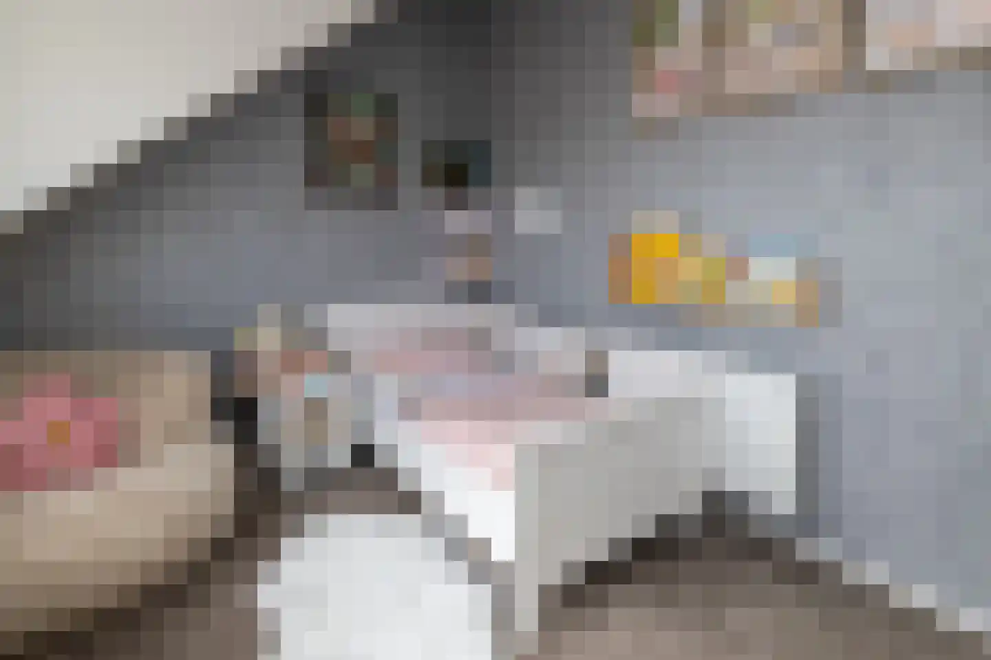 Gerbrandystraat 45 Nunspeet thumbnail 38