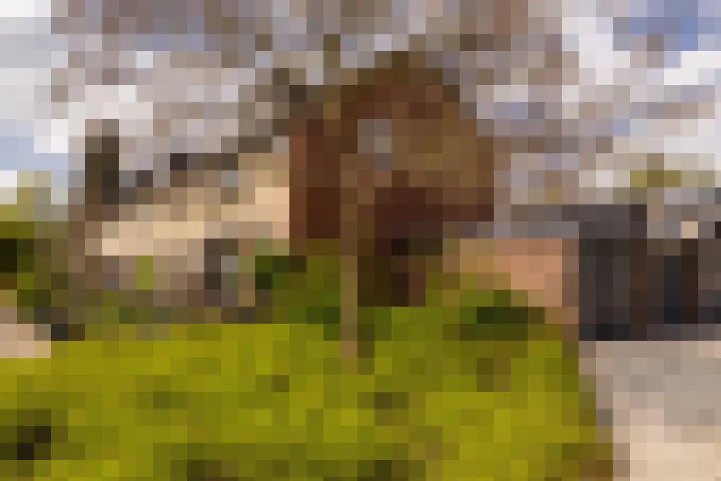 Gerbrandystraat 45 Nunspeet thumbnail 7
