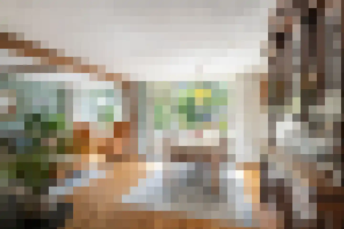 Gerbrandystraat 54 Naaldwijk thumbnail 4