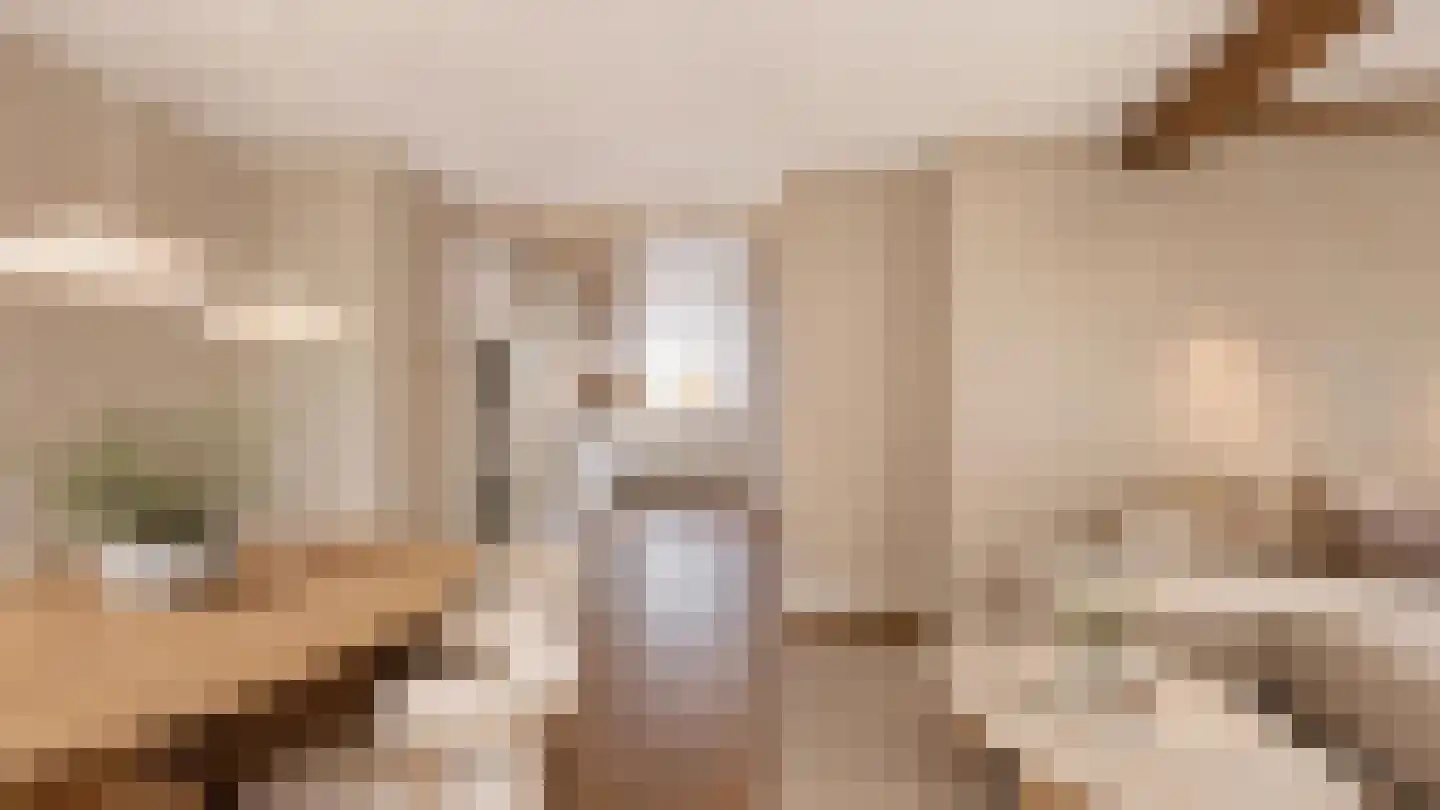 Gerbrandystraat 54 Naaldwijk thumbnail 5