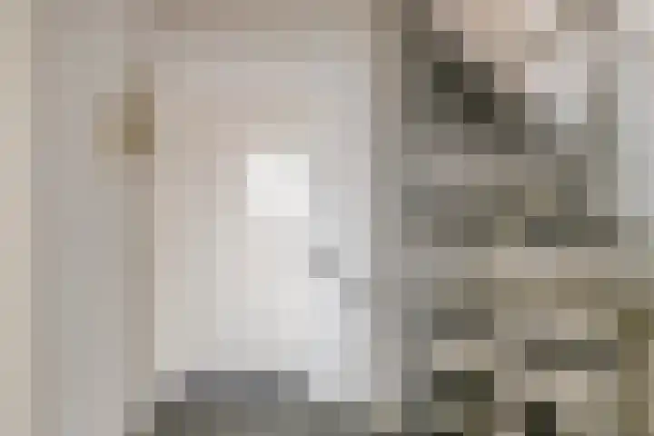 Gerbrandystraat 6 Olst thumbnail 10