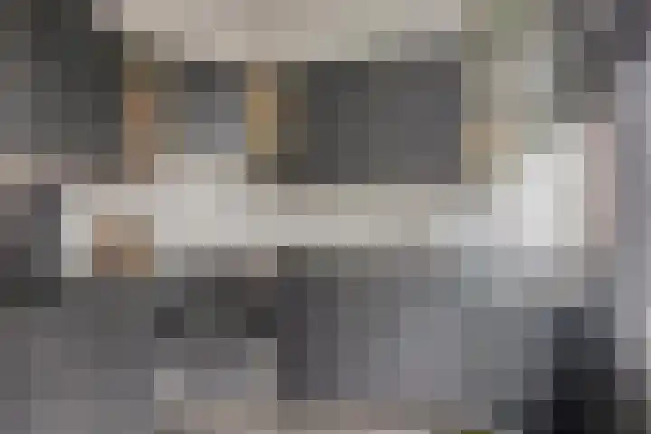 Gerbrandystraat 6 Olst thumbnail 7