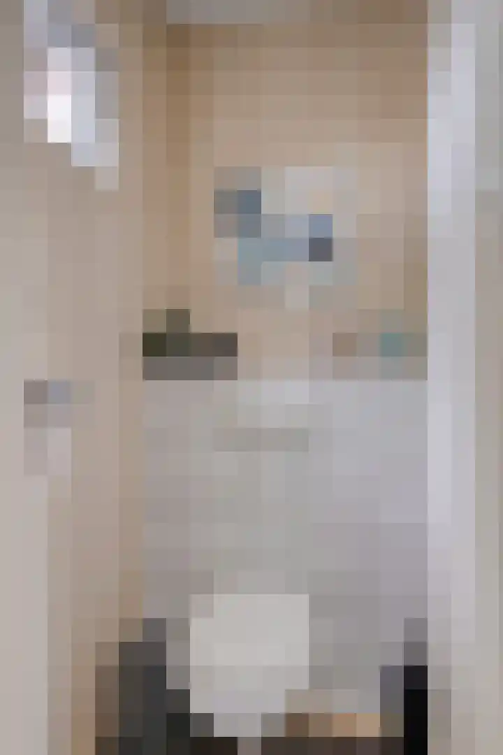 Gerbrandystraat 6 Olst thumbnail 9