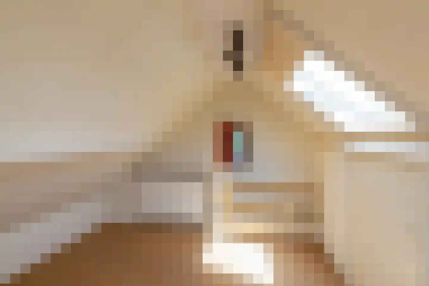 Gerbrandystraat 75 Vlissingen thumbnail 25