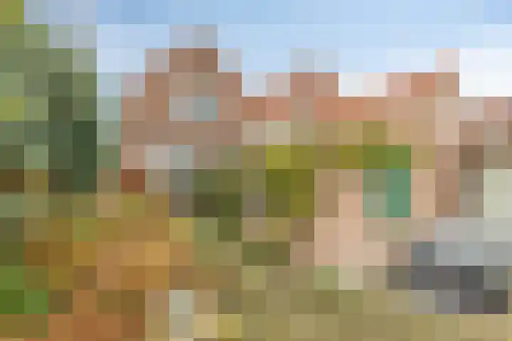 Gerbrandystraat 78 Vlissingen thumbnail 45