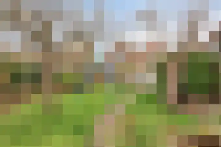 Gerbrandystraat 78 Vlissingen thumbnail 48