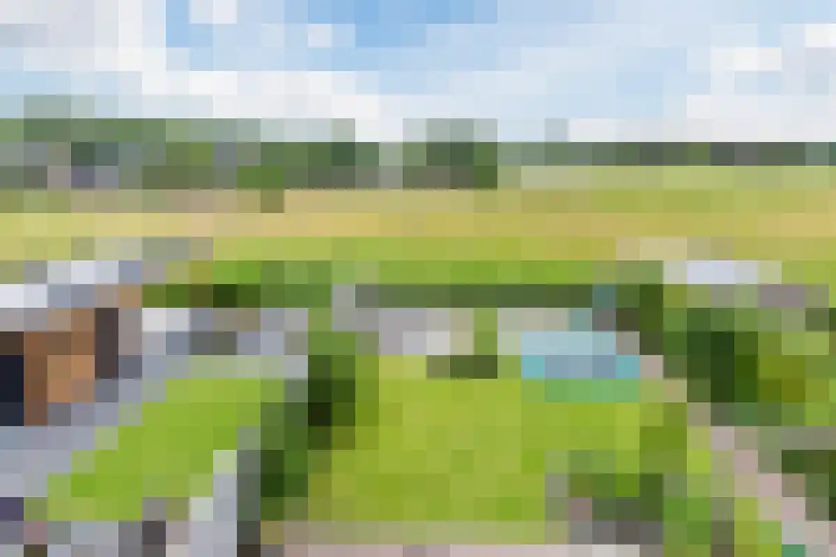 Gerbrant Meussweg 12 Zwaanshoek thumbnail 4