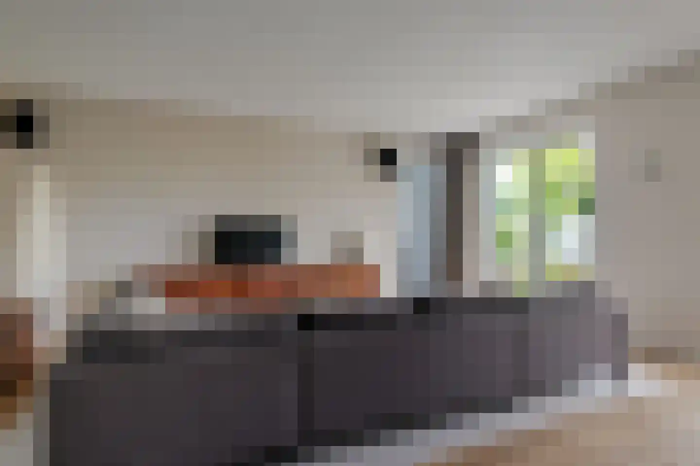 Gerbrant Meussweg 14 Zwaanshoek thumbnail 10