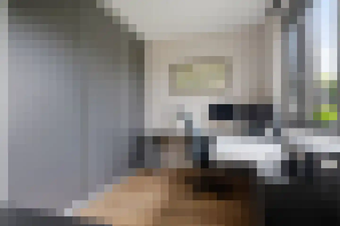 Gerbrant Meussweg 14 Zwaanshoek thumbnail 13