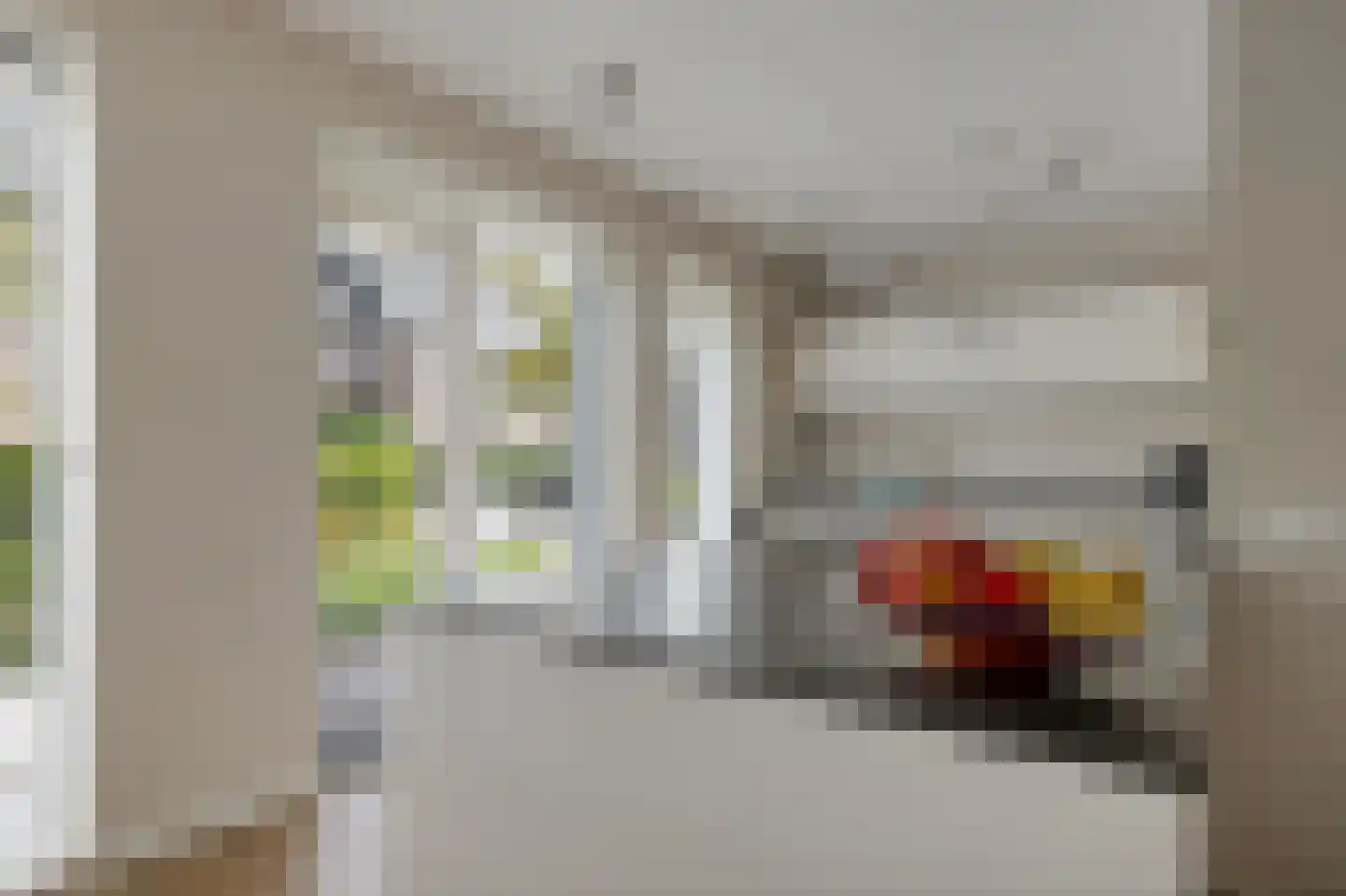 Gerbrant Meussweg 14 Zwaanshoek thumbnail 19