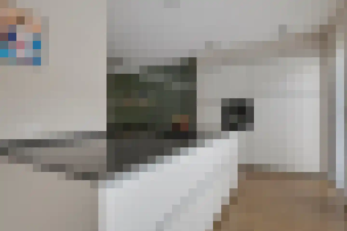 Gerbrant Meussweg 14 Zwaanshoek thumbnail 20