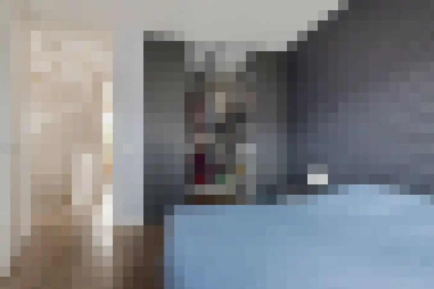 Gerbrant Meussweg 14 Zwaanshoek thumbnail 25