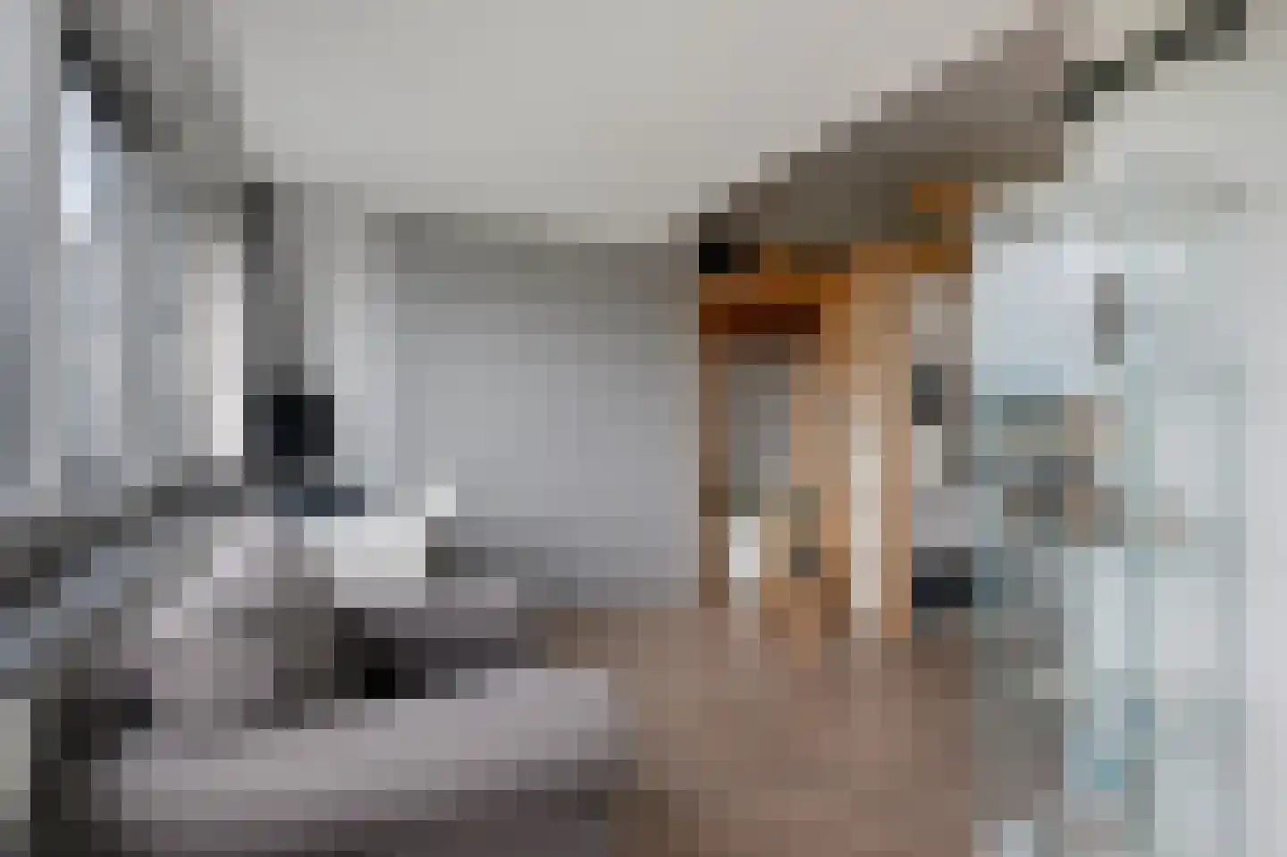 Gerbrant Meussweg 14 Zwaanshoek thumbnail 35