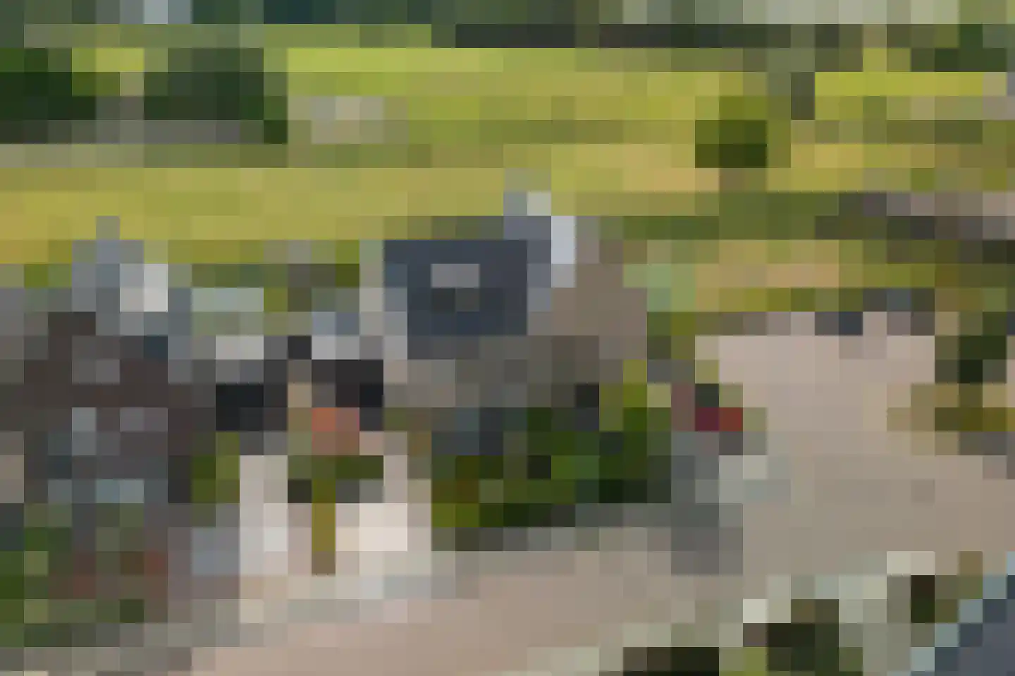 Gerbrant Meussweg 14 Zwaanshoek thumbnail 41