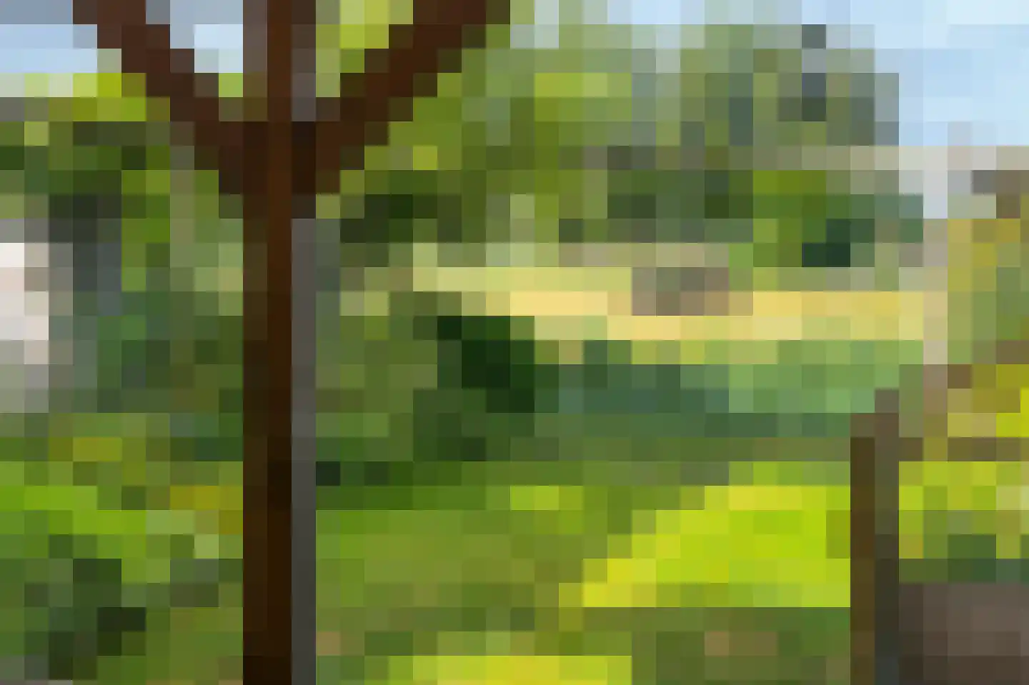 Gerbrant Meussweg 14 Zwaanshoek thumbnail 45