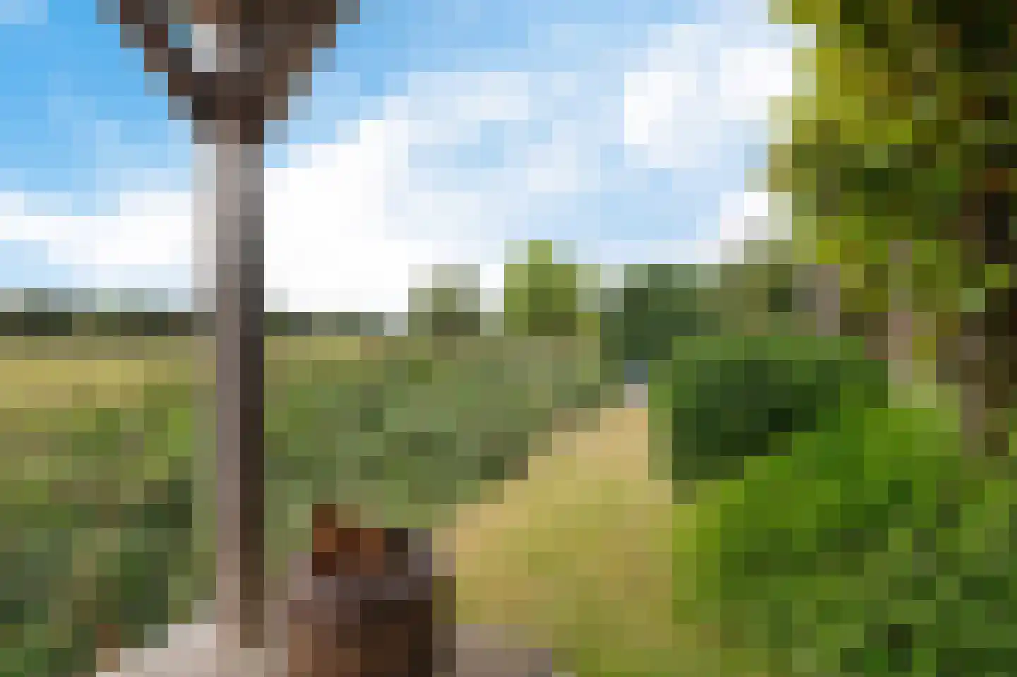 Gerbrant Meussweg 14 Zwaanshoek thumbnail 46